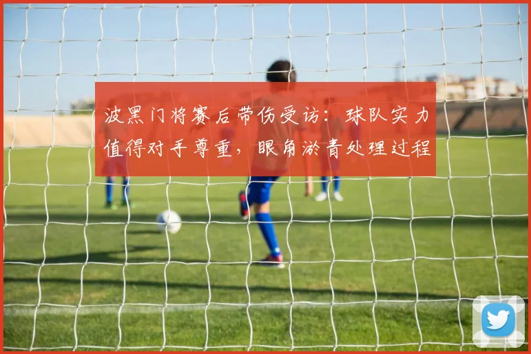 波黑门将赛后带伤受访：球队实力值得对手尊重，眼角淤青处理过程解析，2026欧洲杯展望
